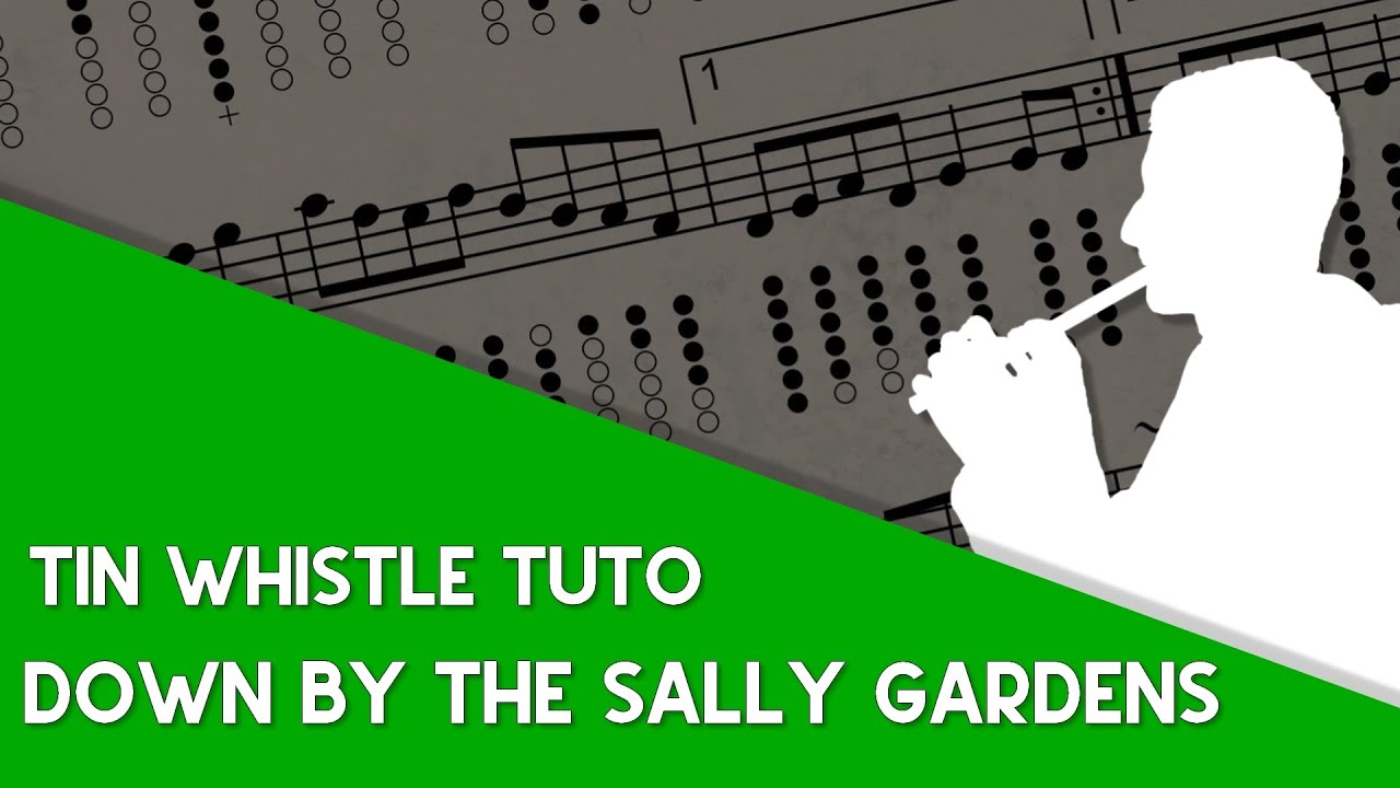 Tin Whistle Tuto - Down By The Sally Gardens (Song Dmaj)