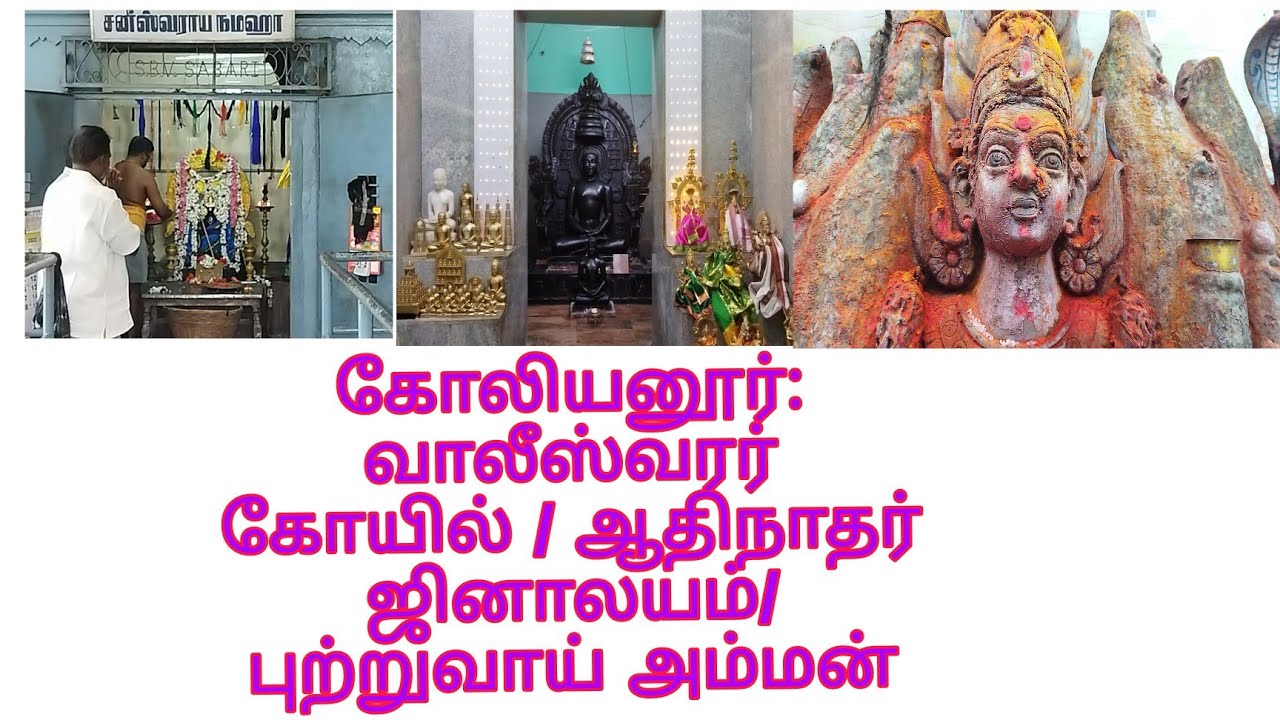 கோலியனூர்/வாலீஸ்வரர் கோயில்/ஆதிநாதர் ஜினாலயம்/புத்துவாய் அம்மன் கோயில்/koliyanur