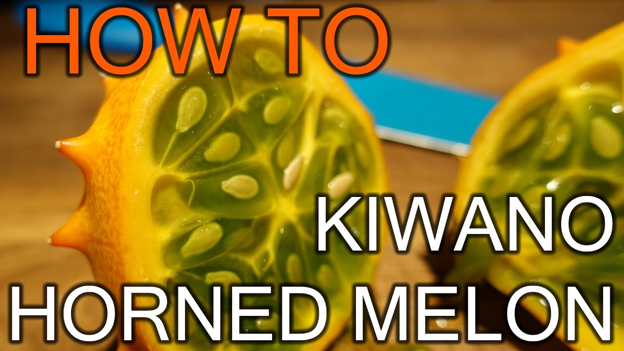 How to cut Kiwano Horned Melon African Horned Cucumber