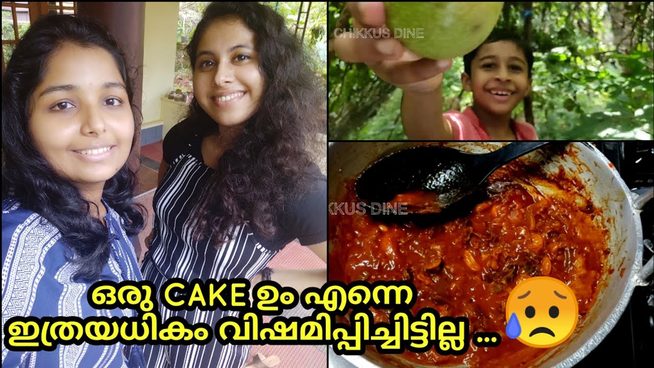 ഒരു CAKE ഉം എന്നെ ഇത്രയധികം വിഷമിപ്പിച്ചിട്ടില്ല😥|| A Personal Vlog| Chikkus Dine| |Ep.#276