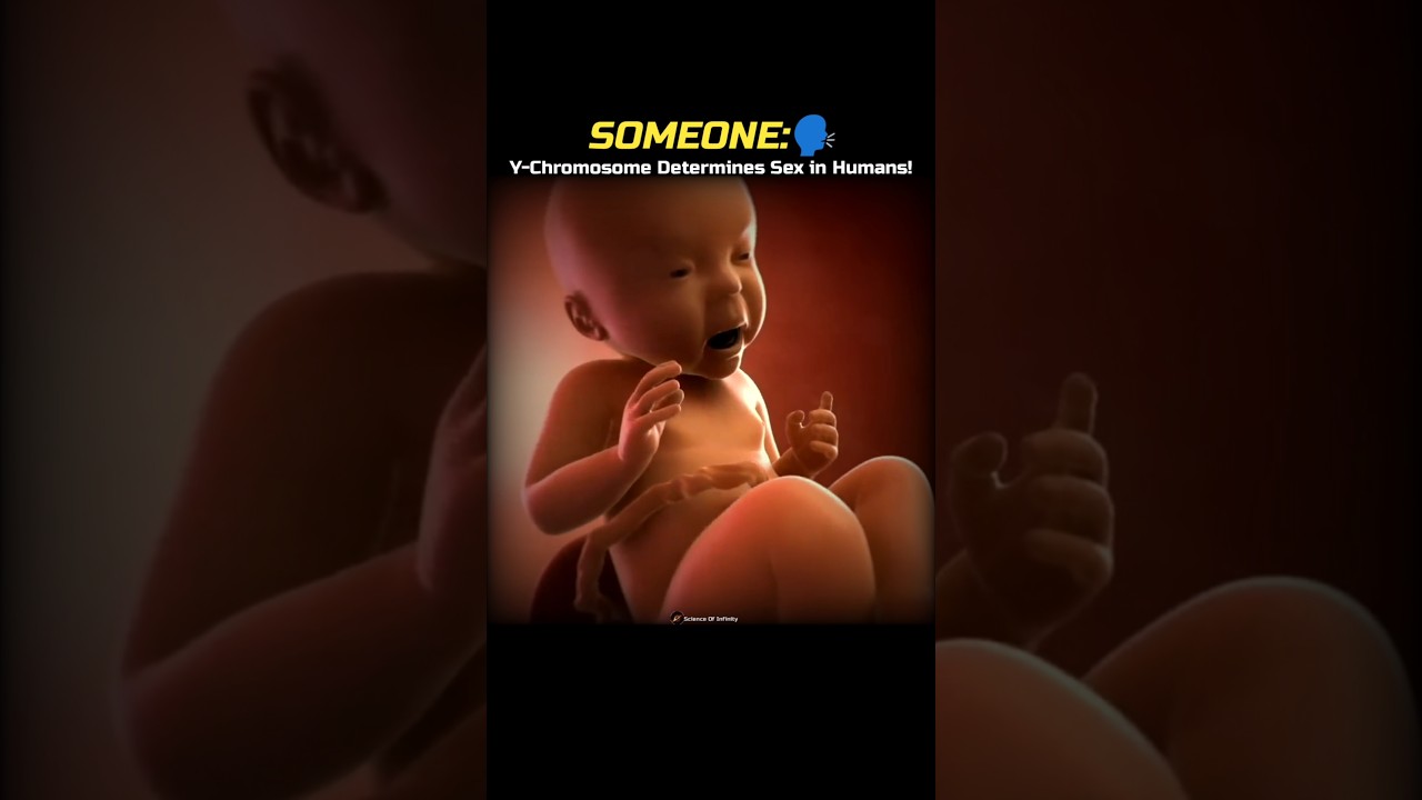 Y-chromosome is Slowly Disappearing! 🤯🧬 #shorts #science #biology #sciencefacts