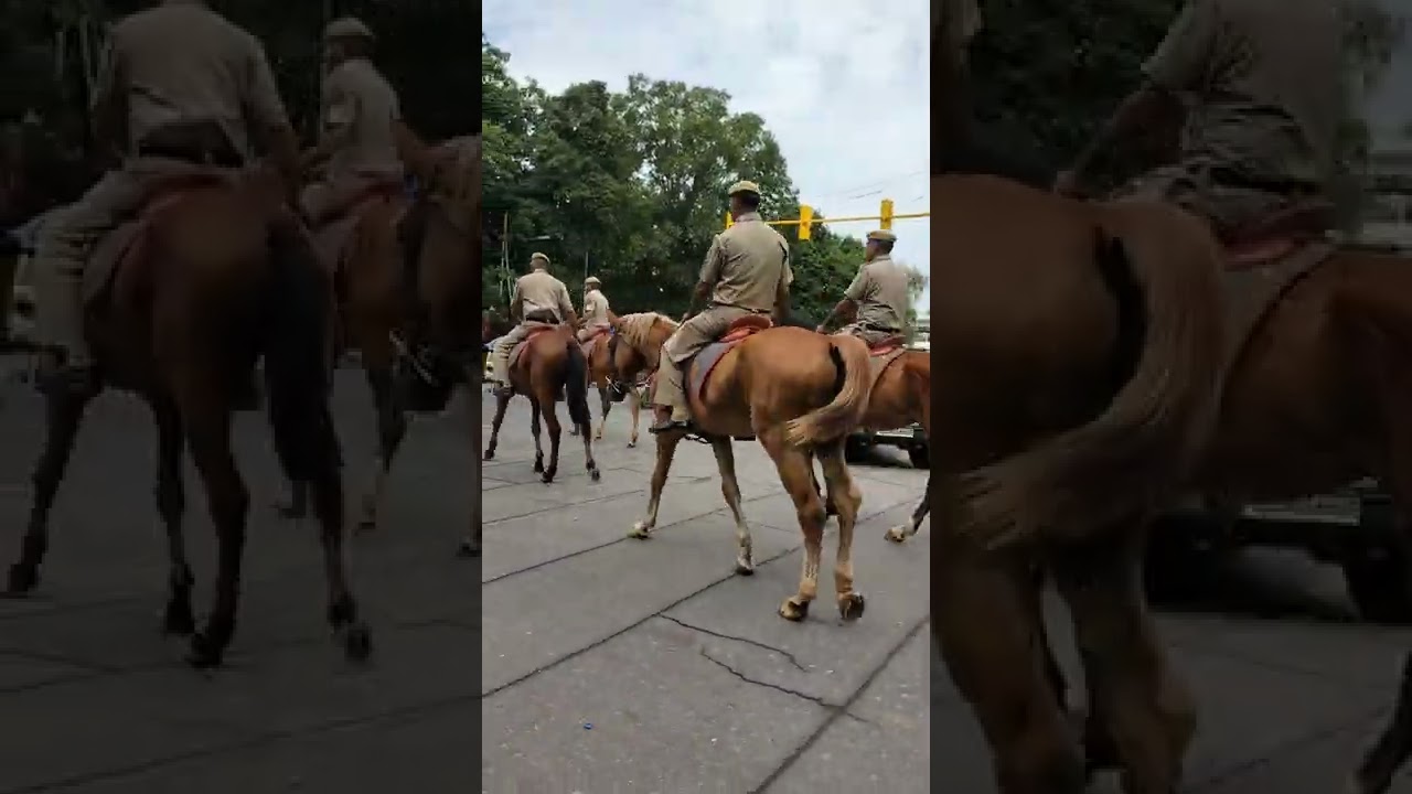 Delhi Police on Horse