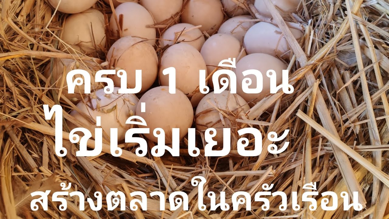 ตลาดสด.... ในครัวเรือน..!!!??? 