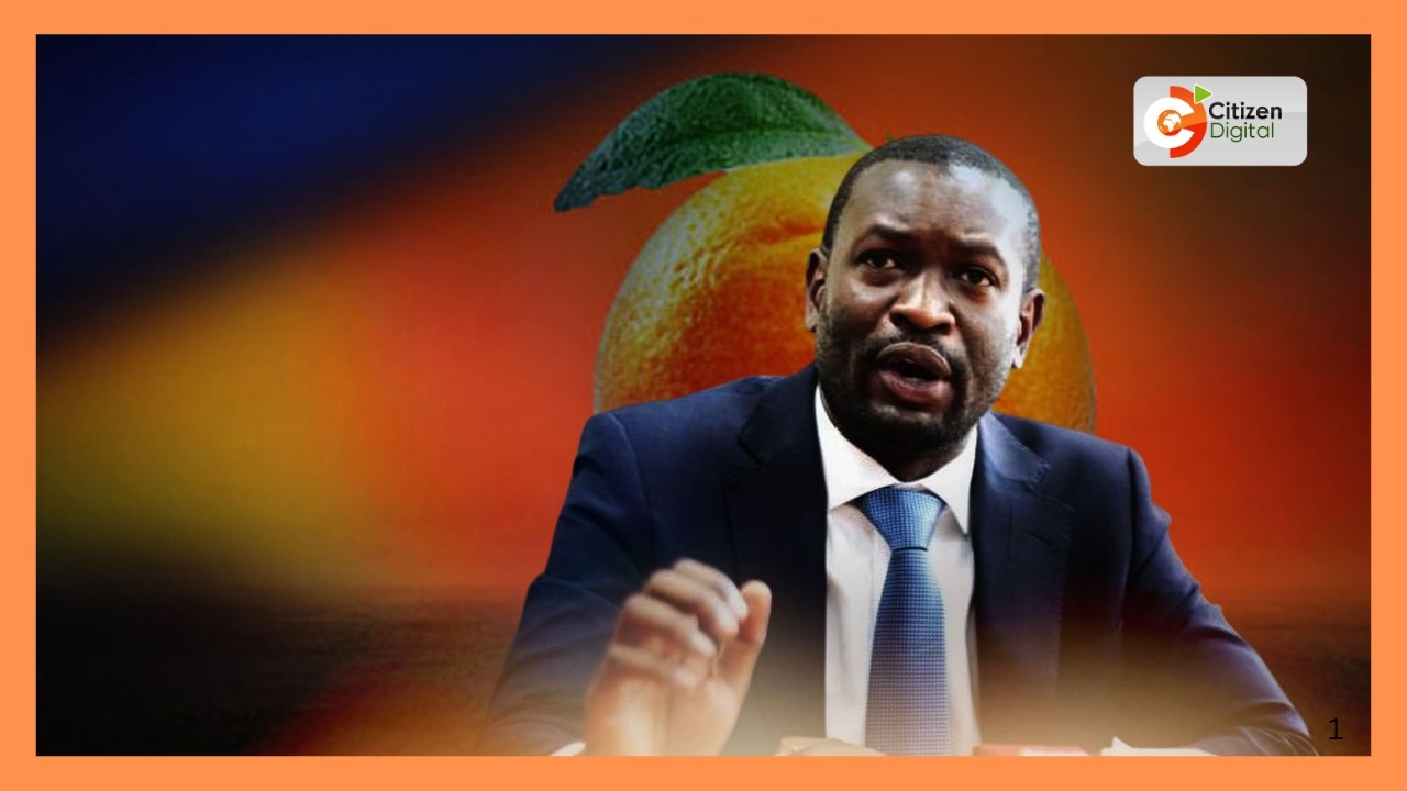 Legal battle heats up in ODM as party challenges Edwin Sifuna's removal order