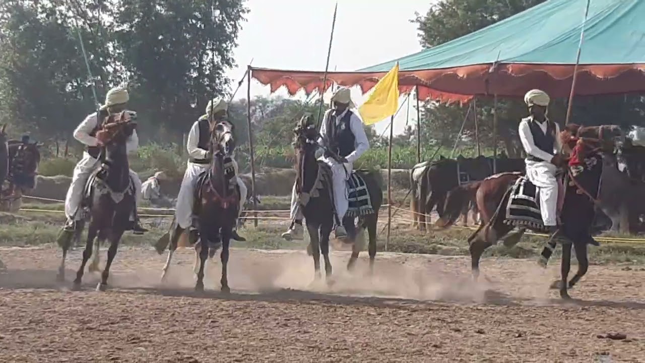 Nazabazi on 247 miani horse best nazabazi #pind34 #horserace #horselover252
