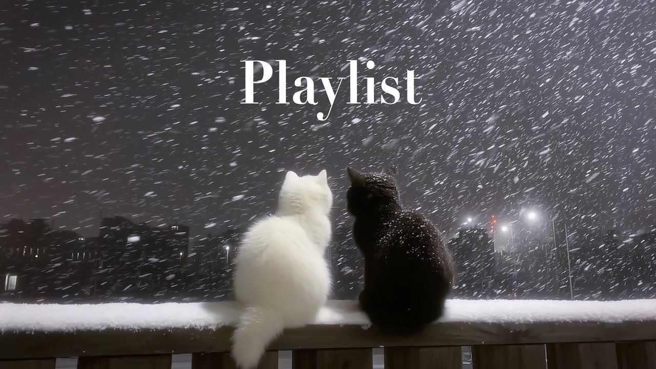 𝑷𝒍𝒂𝒚𝑳𝒊𝒔𝒕_우린 서로에게 가장 완벽한 쉼표야, 잔잔하고 따뜻한 감성 플리 🎧