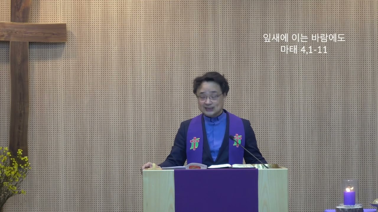 260222 잎새에 이는 바람에도
