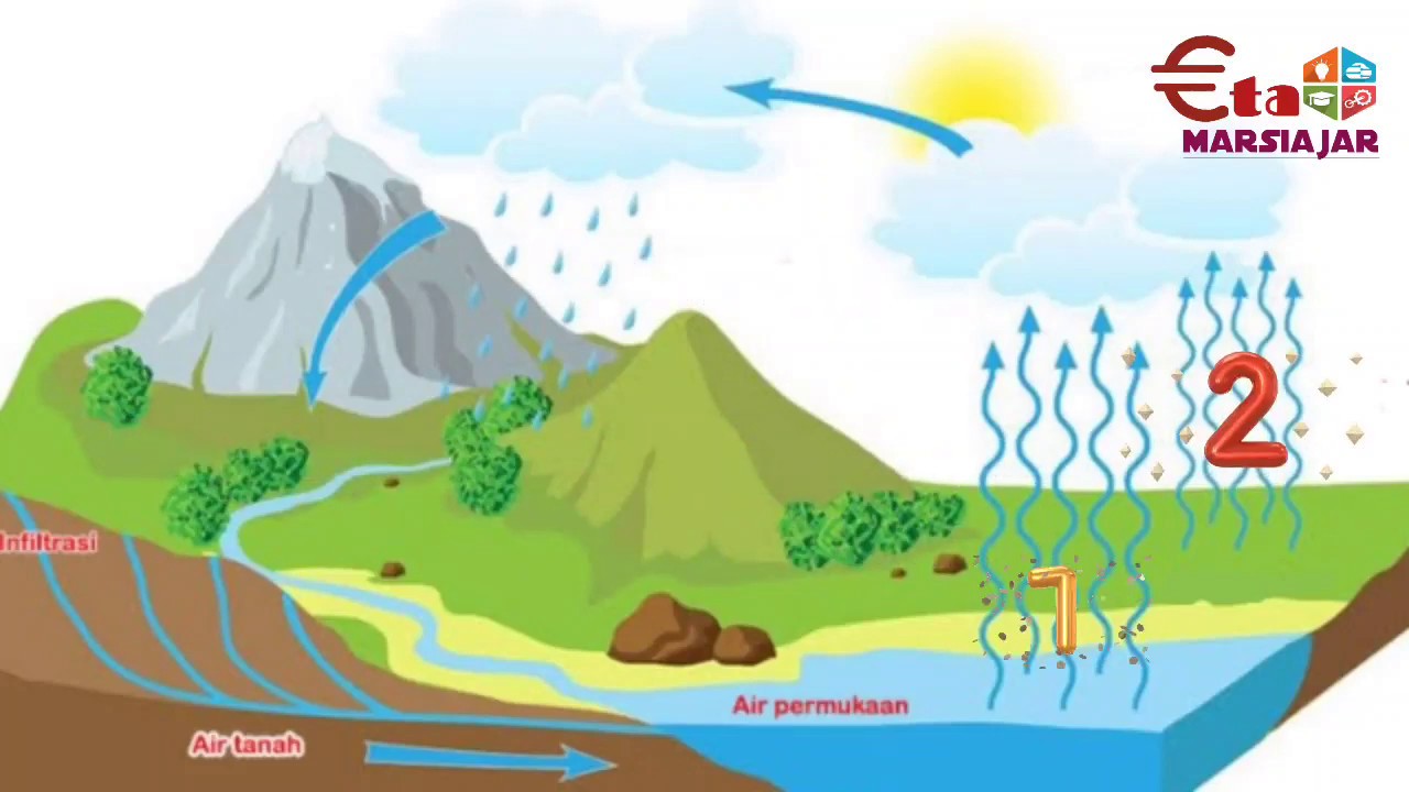 Proses Terjadinya Siklus Air  ( Siklus Hidrologi)