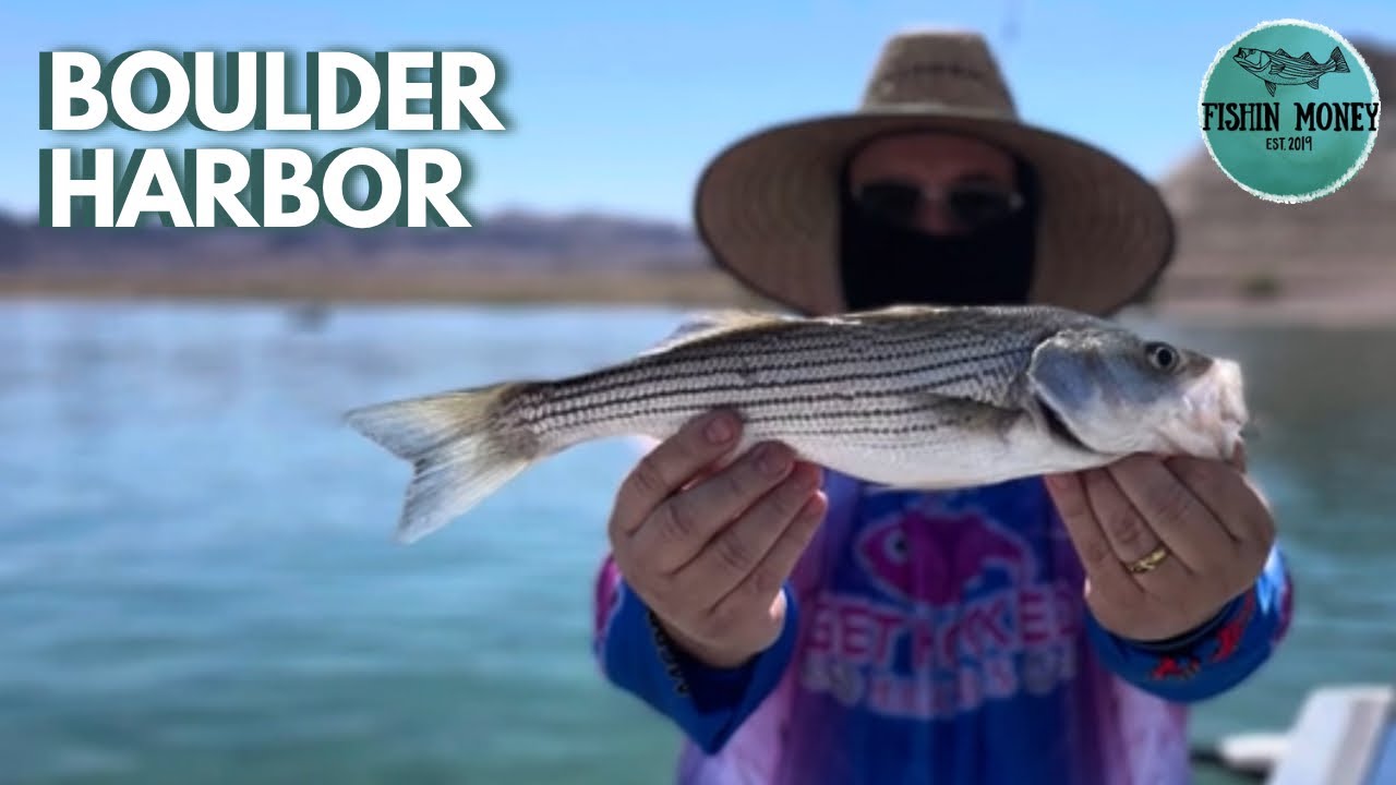 Fishing at Boulder Harbor- Lake Mead