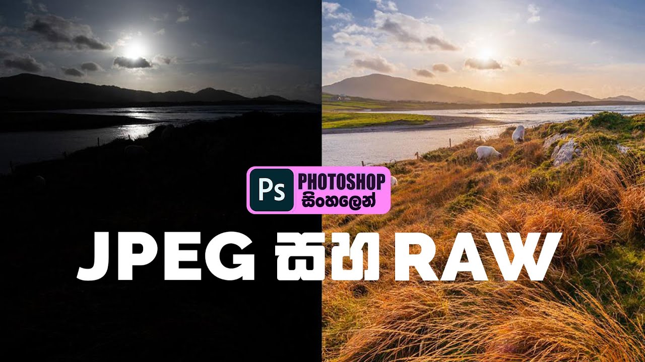 What is the difference of jpeg and raw explained in sinhala
