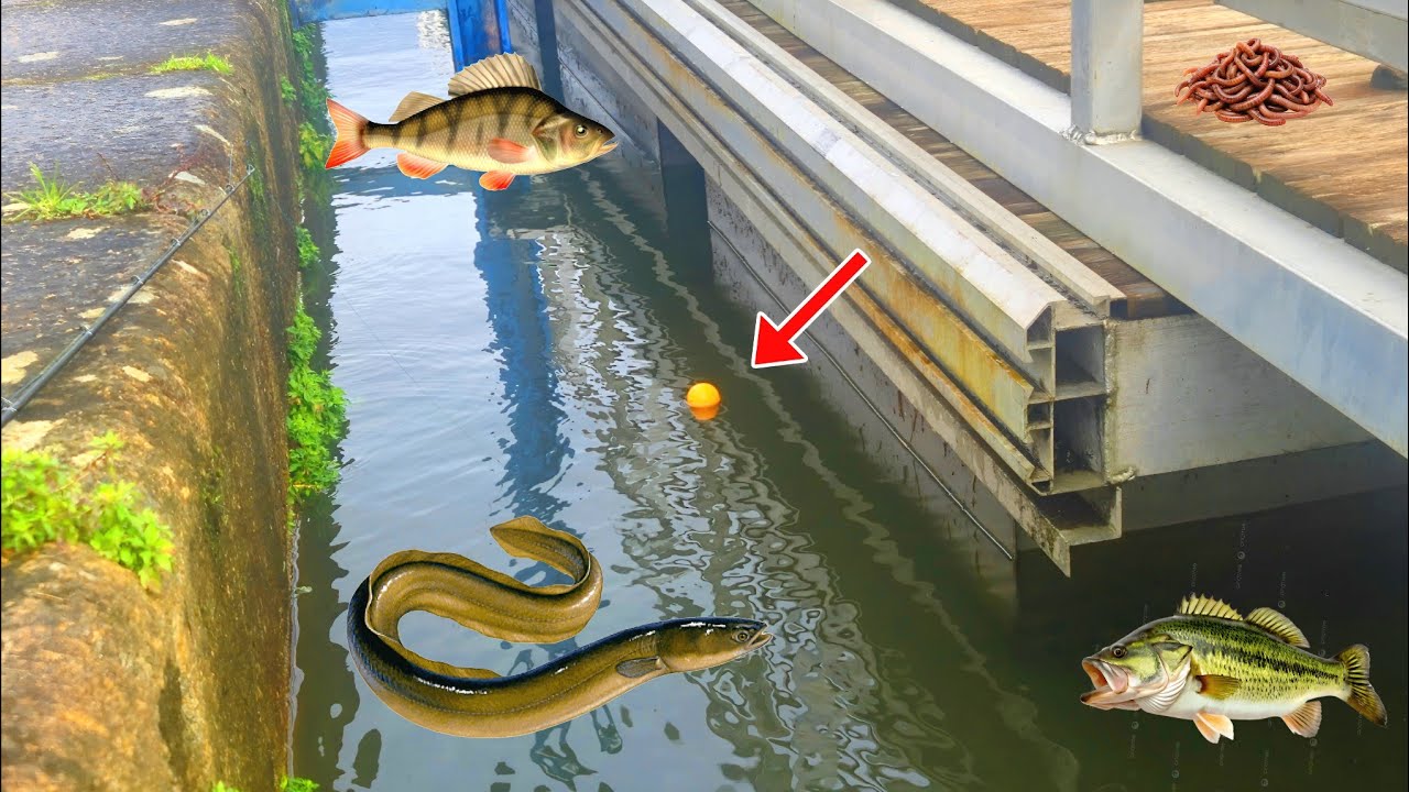 Pêche INCROYABLE au VER avec des balles de ping pong !