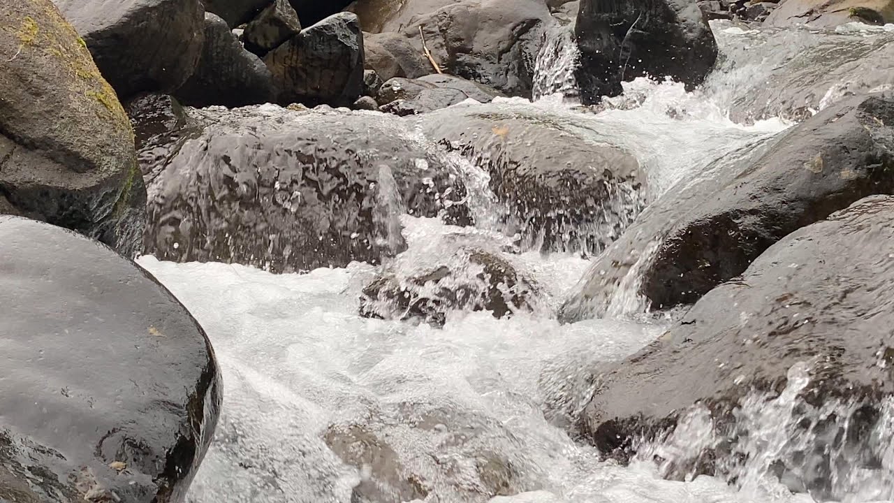 4K HDR Forest Stream - Relaxing River Sounds - No Birds - Natural White Noise - Relax/ Sleep/ Study