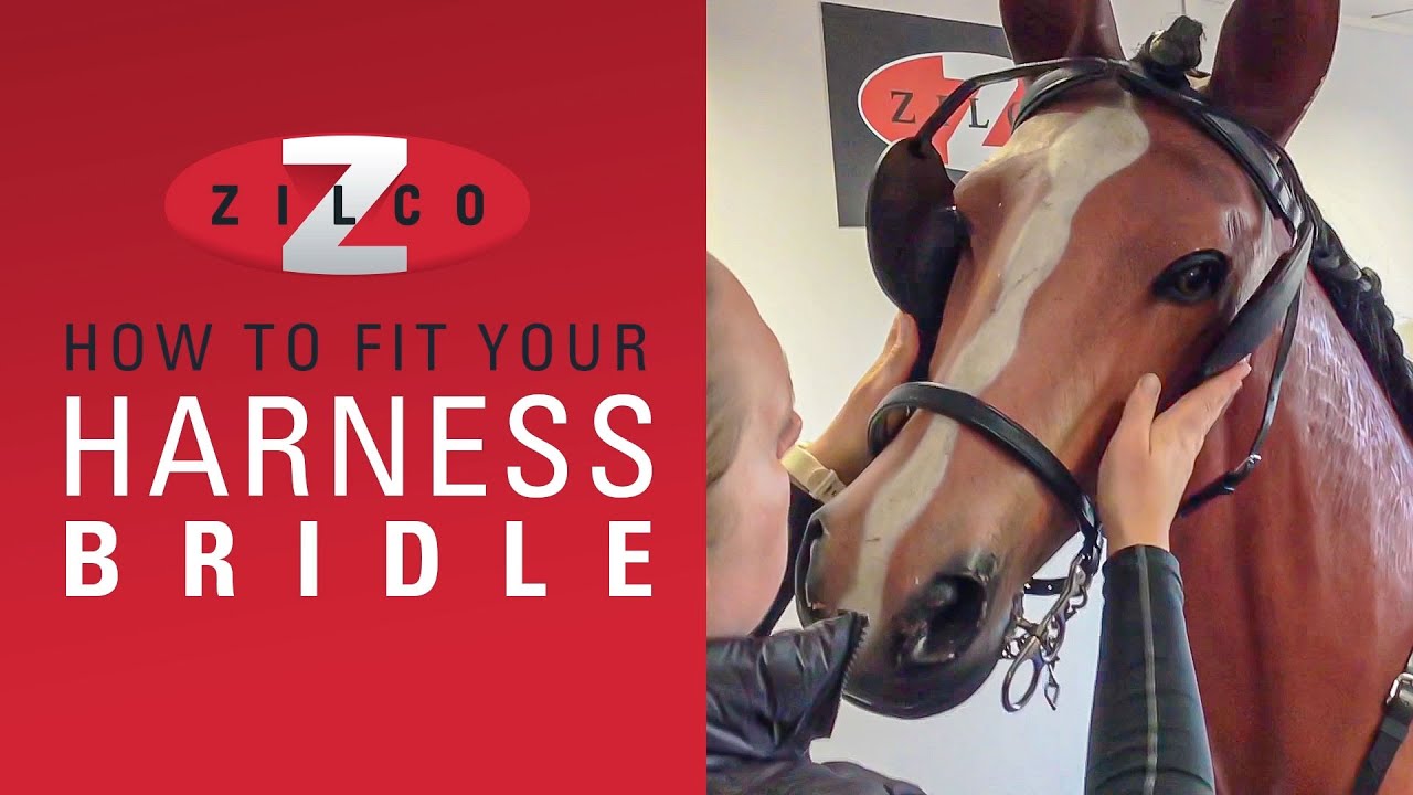 How to correctly fit your Zilco Driving Harness Bridle