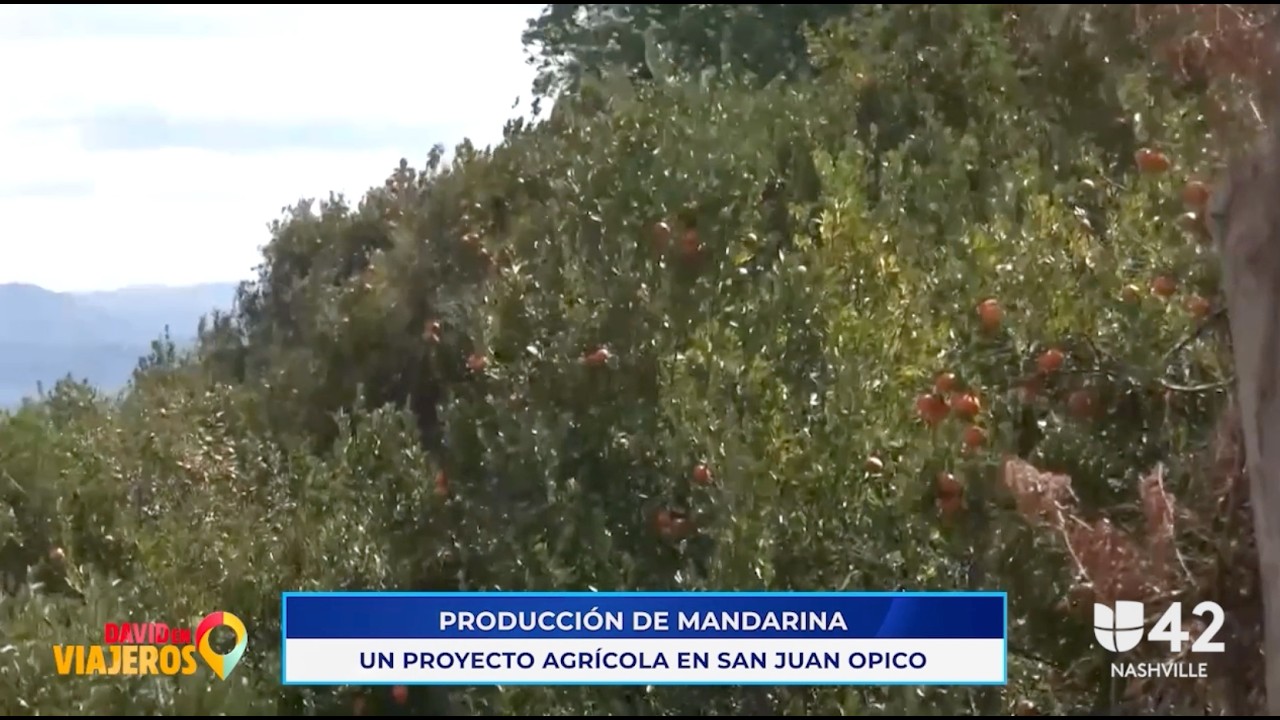 PROGRAMA DAVID EN VIAJEROS   7 FEBRERO