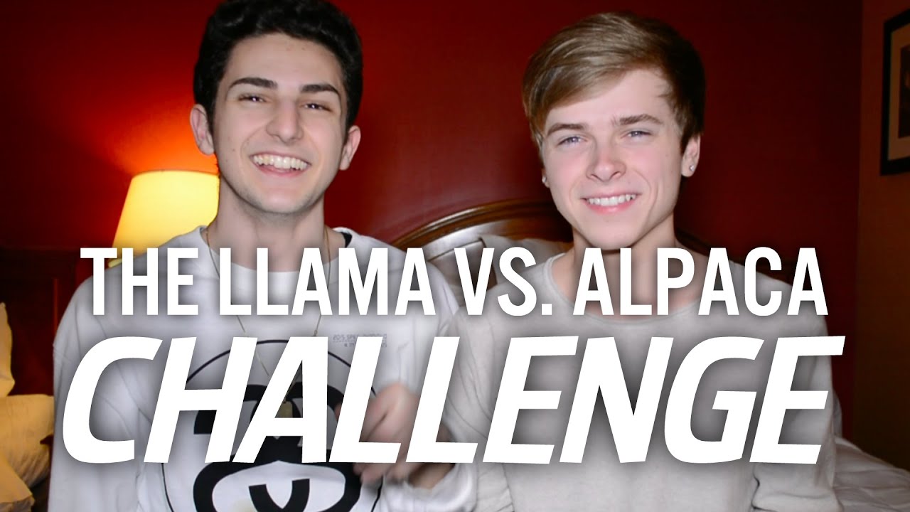 THE LLAMA VS. ALPACA CHALLENGE (with Luke Korns)