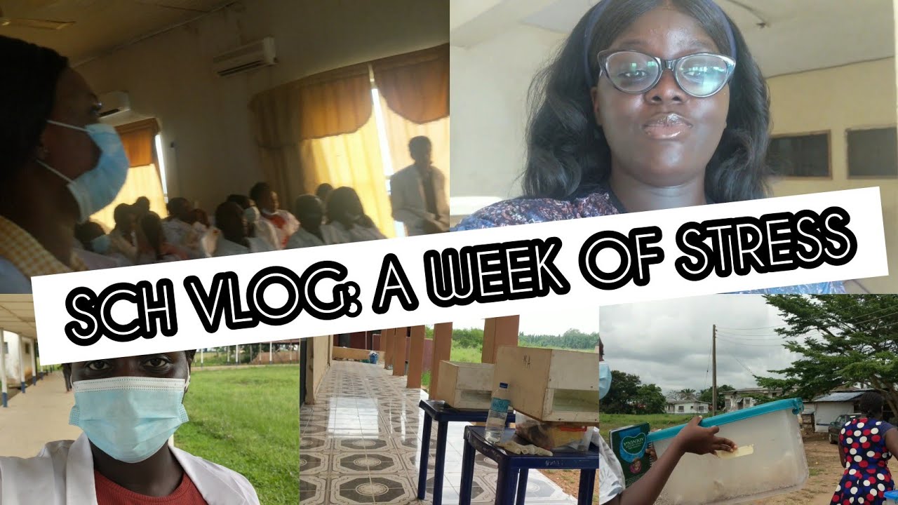 VLOG: Life Update, School... I'm losing my mind 😪