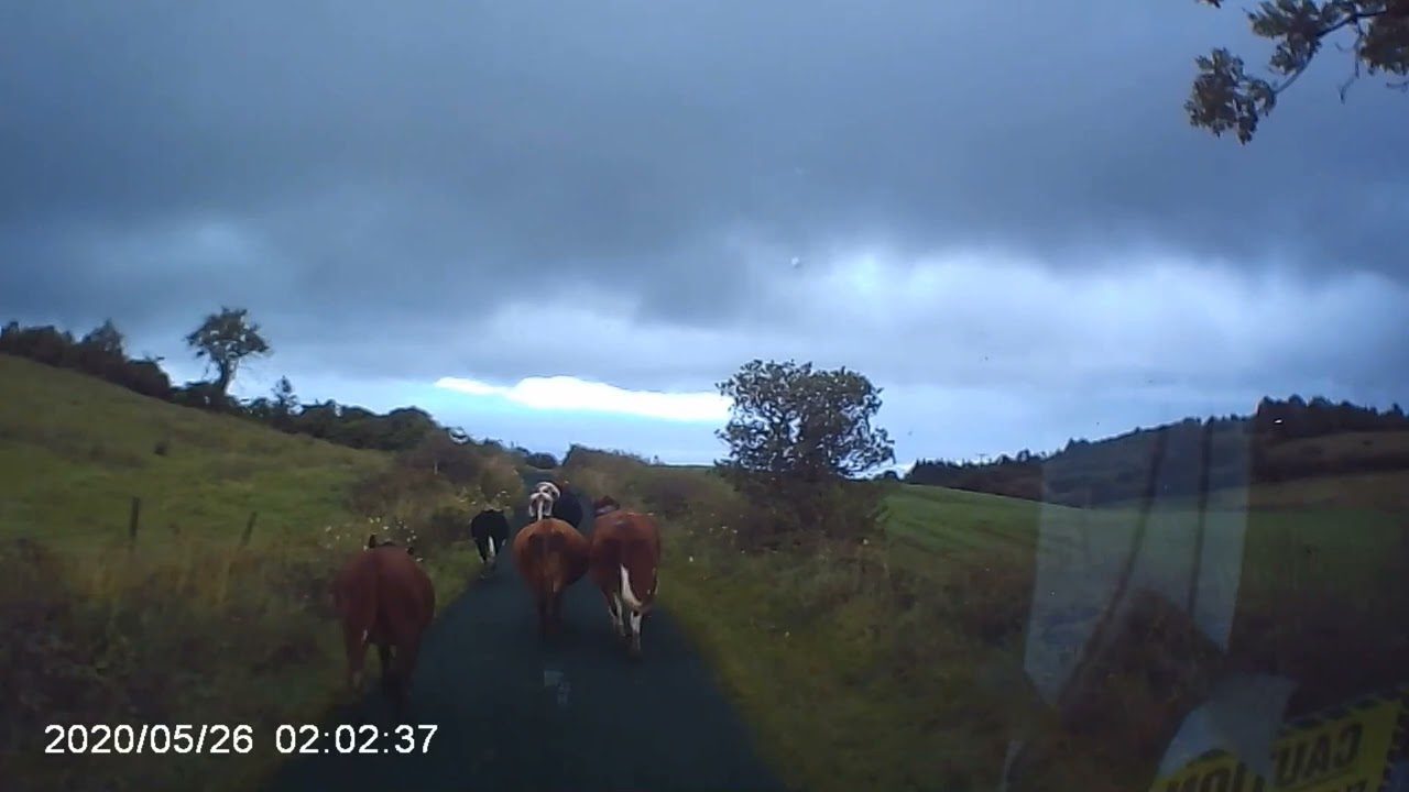 Lough Arrow Campsite and an Irish traffic jam
