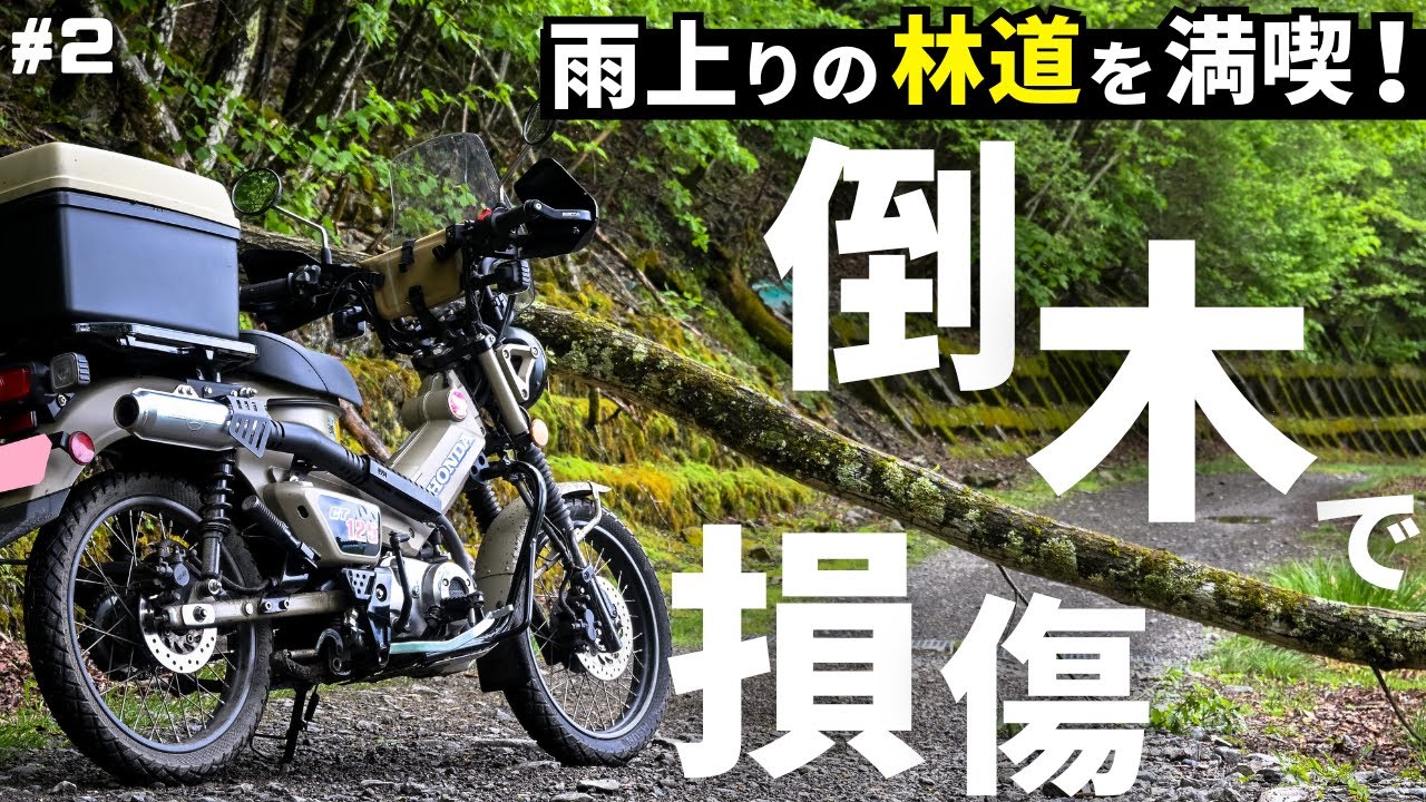 倒木を突破せよ！…ハンターカブで雨上がりの御荷鉾スーパー林道ツーリングで雲海に感動編