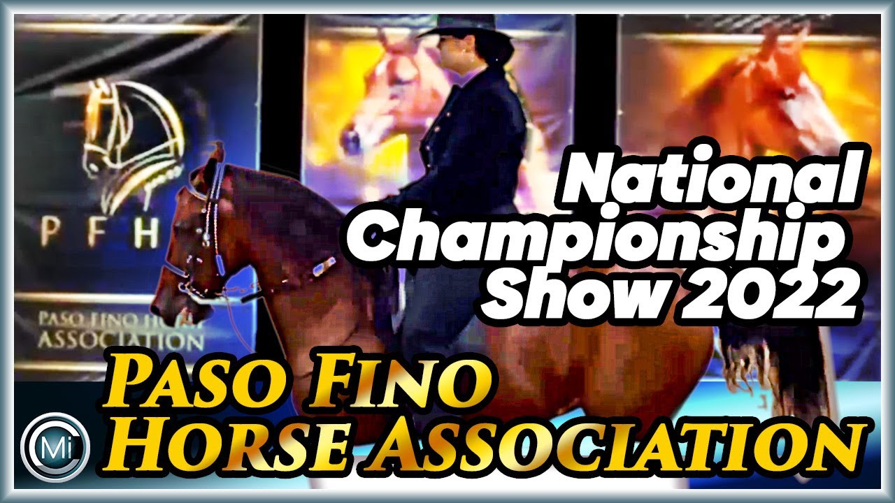 Show de Caballos de Paso Fino en el 50 aniversario del PFHA Ocala, FL.
