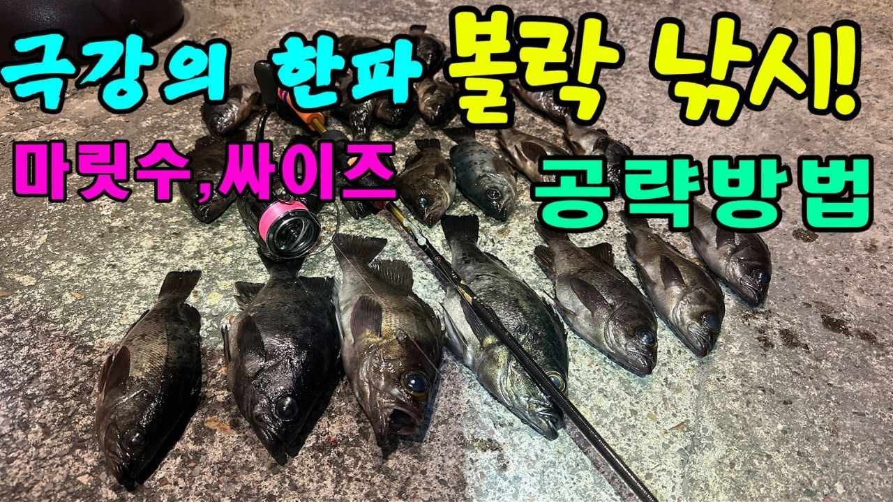 덩어리 볼락이 느나느나~~(최강 한파 속 볼락낚시)#볼락#볼락루어낚시