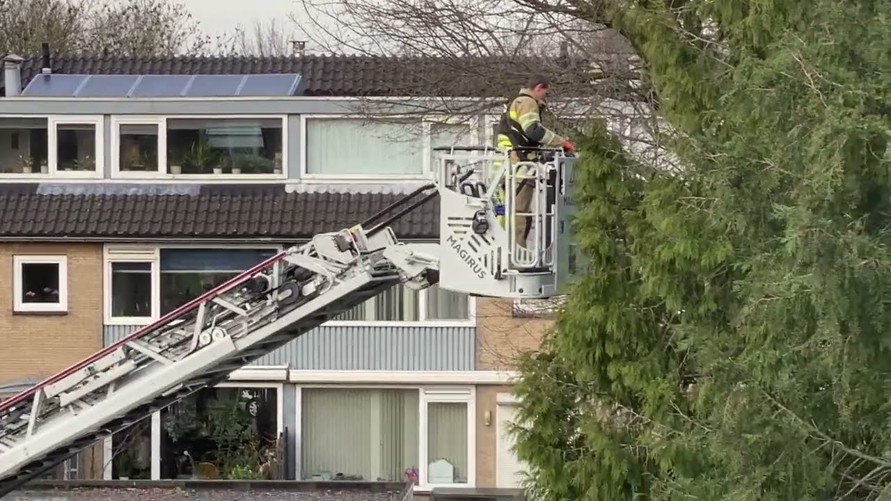 Brandweer Vleuten redt kat uit de boom
