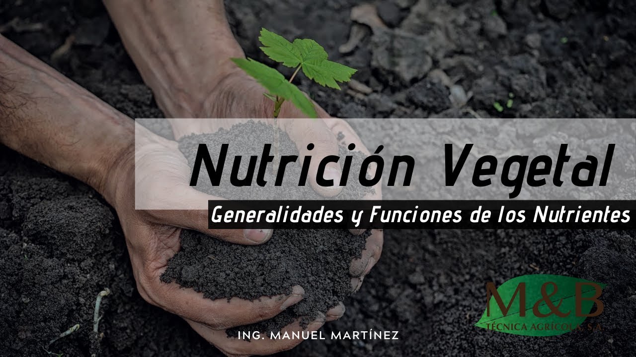 Nutrición Vegetal: Generalidades y Funciones de los Nutrientes