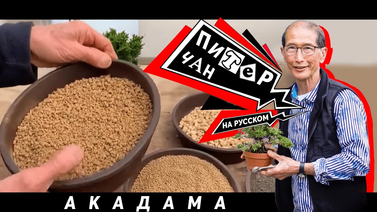 Земляная Смесь для Бонсай