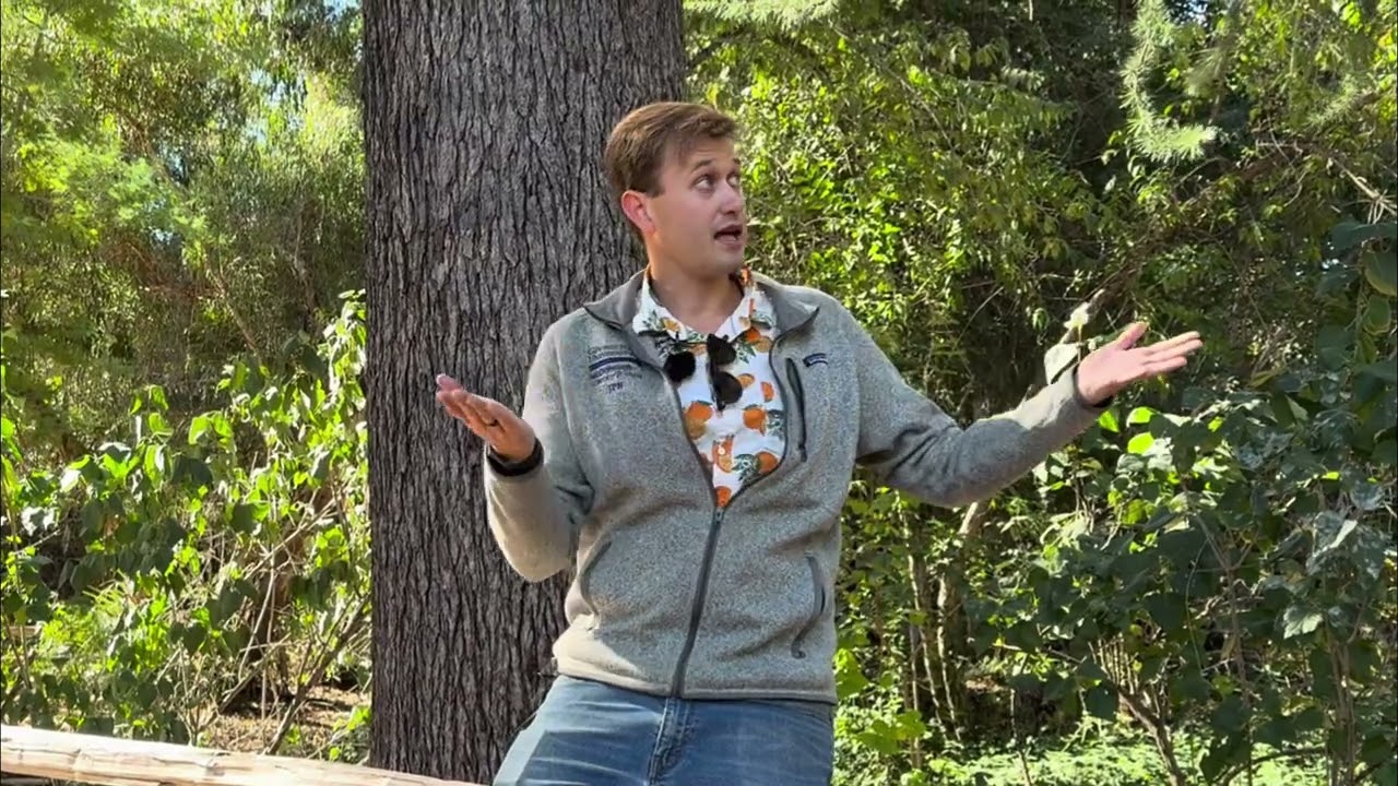 Trees Every Californian Should Know - Episode 5: Deodar Cedar