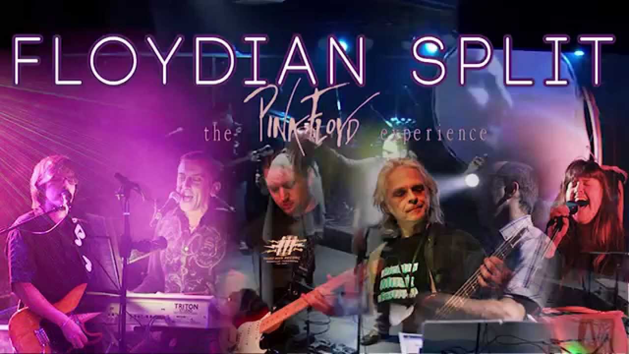 WISH YOU WERE HERE - Floydian Split [LIVE] @ Vintage Industrial Bar (ZG)