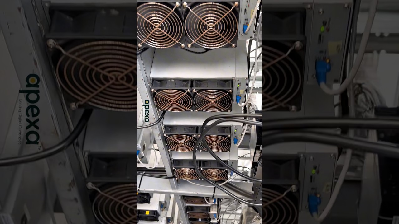 We engineer scalable mining ecosystems built for peak performance. 