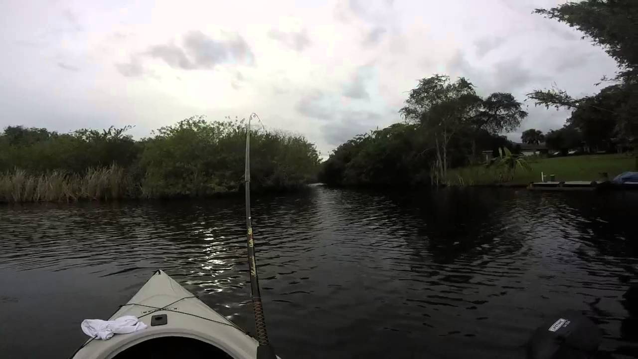 Kayak fishing for snook