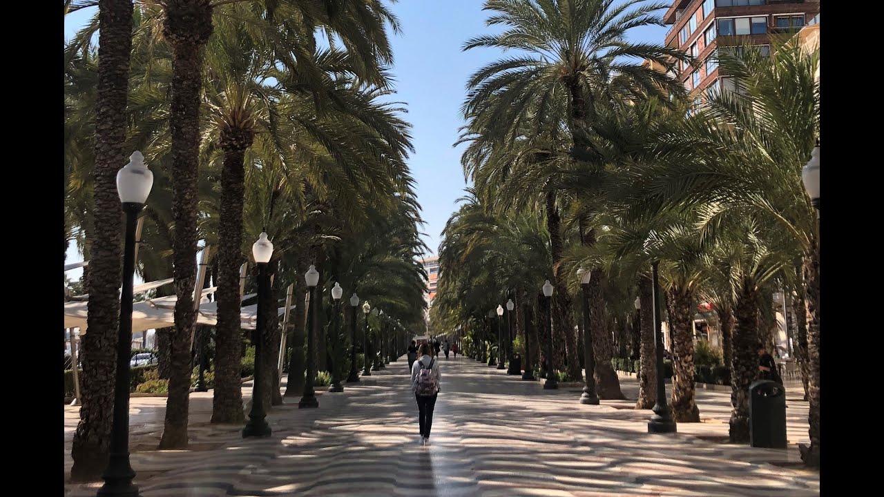1 Giorno ad Alicante