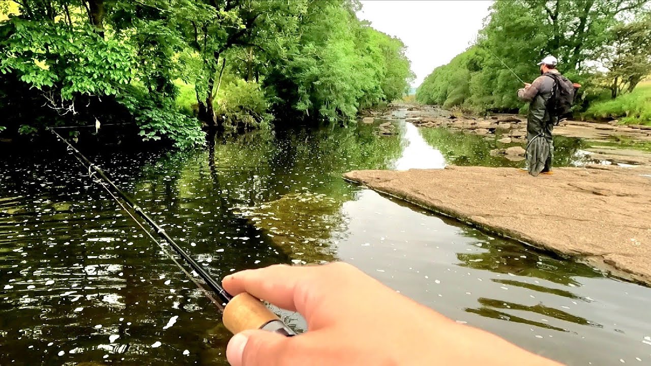 River TROUT Fishing, Hiking, Foraging - Crazy ADVENTURE!!!