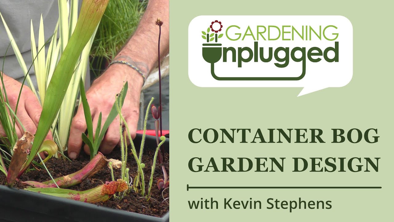 Gardening Unplugged - How to create a container bog garden with Kevin Stephens