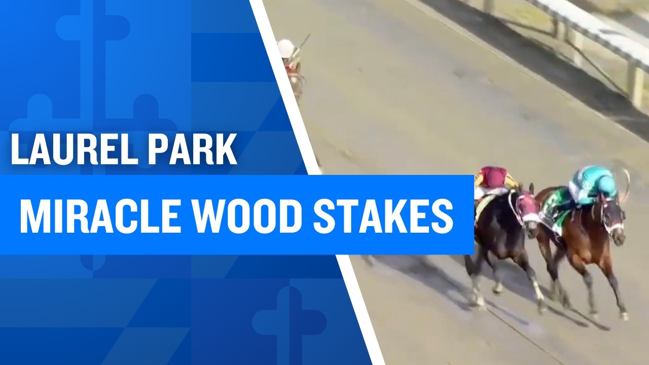 2026 $100,000 Miracle Wood Stakes at Laurel Park