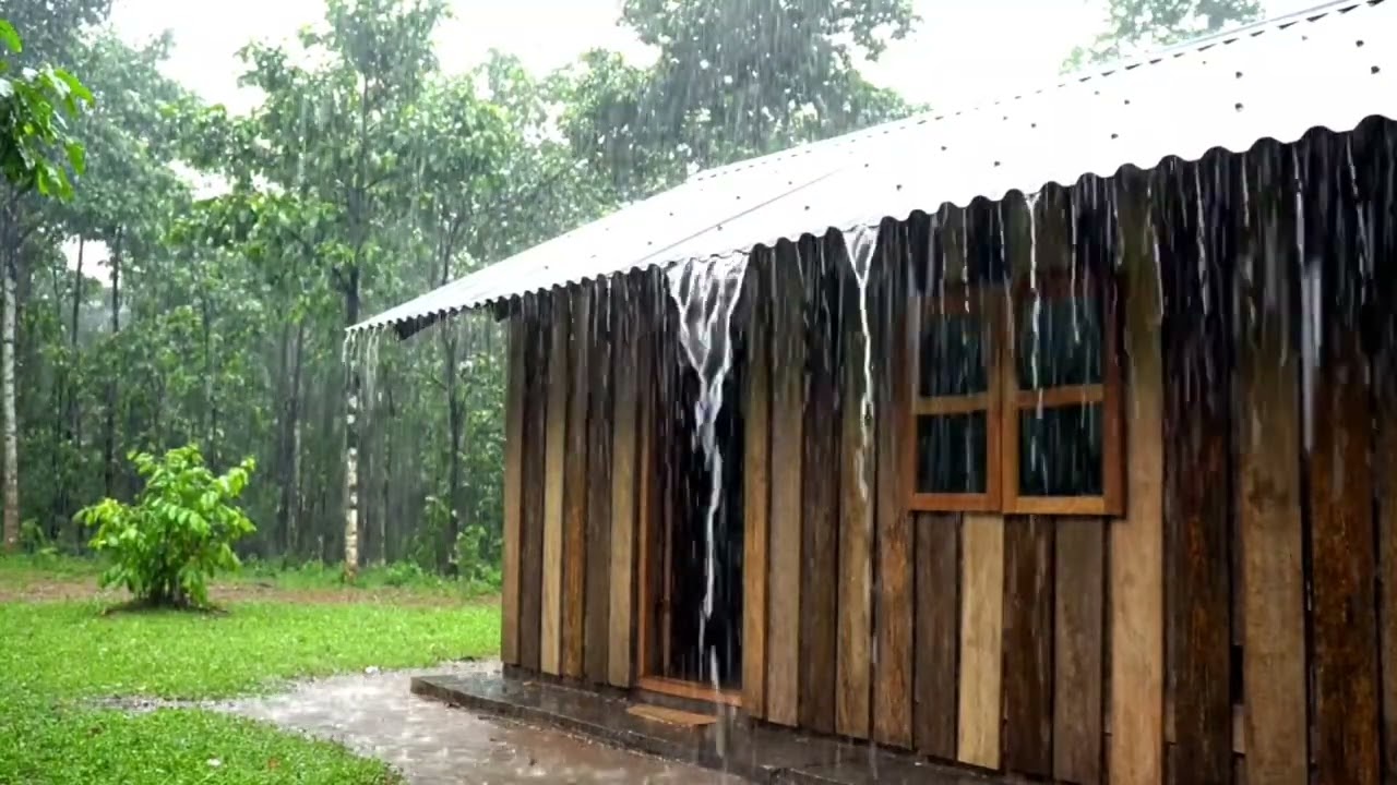 The Most Peaceful Pure Rain Sound You'll Hear Tonight, No Music No Thunder