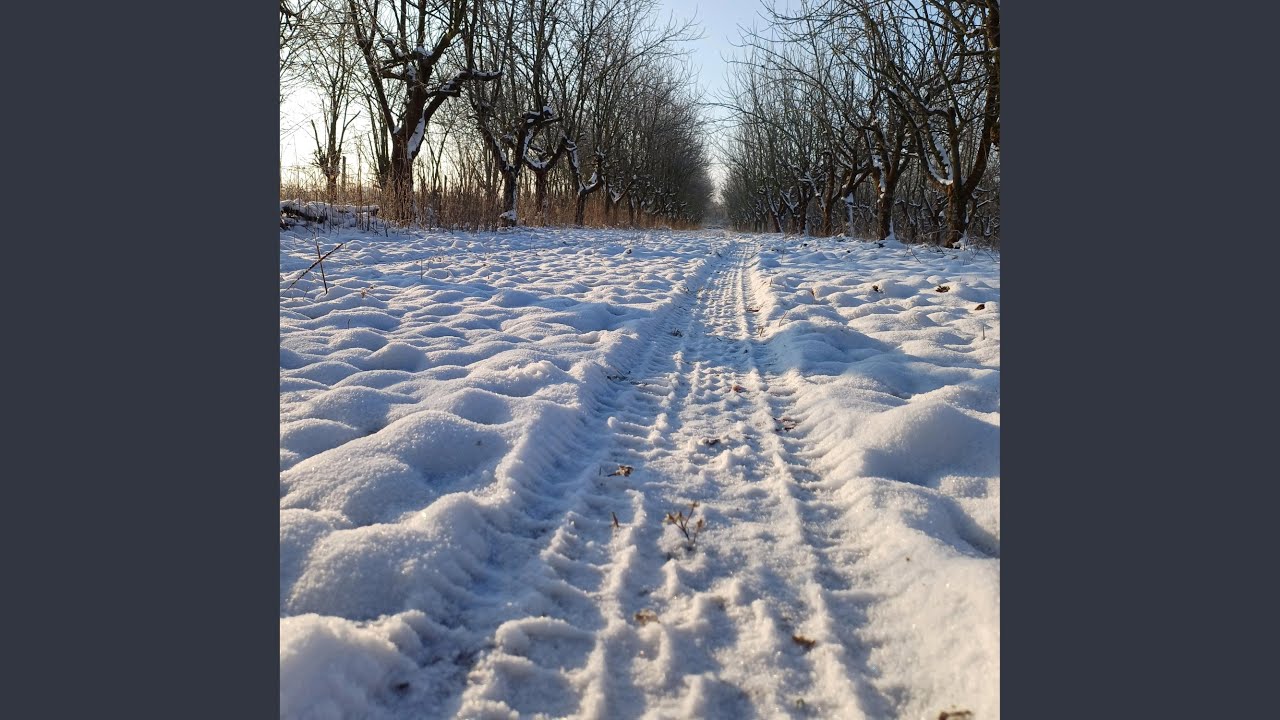 subota bez rasporeda