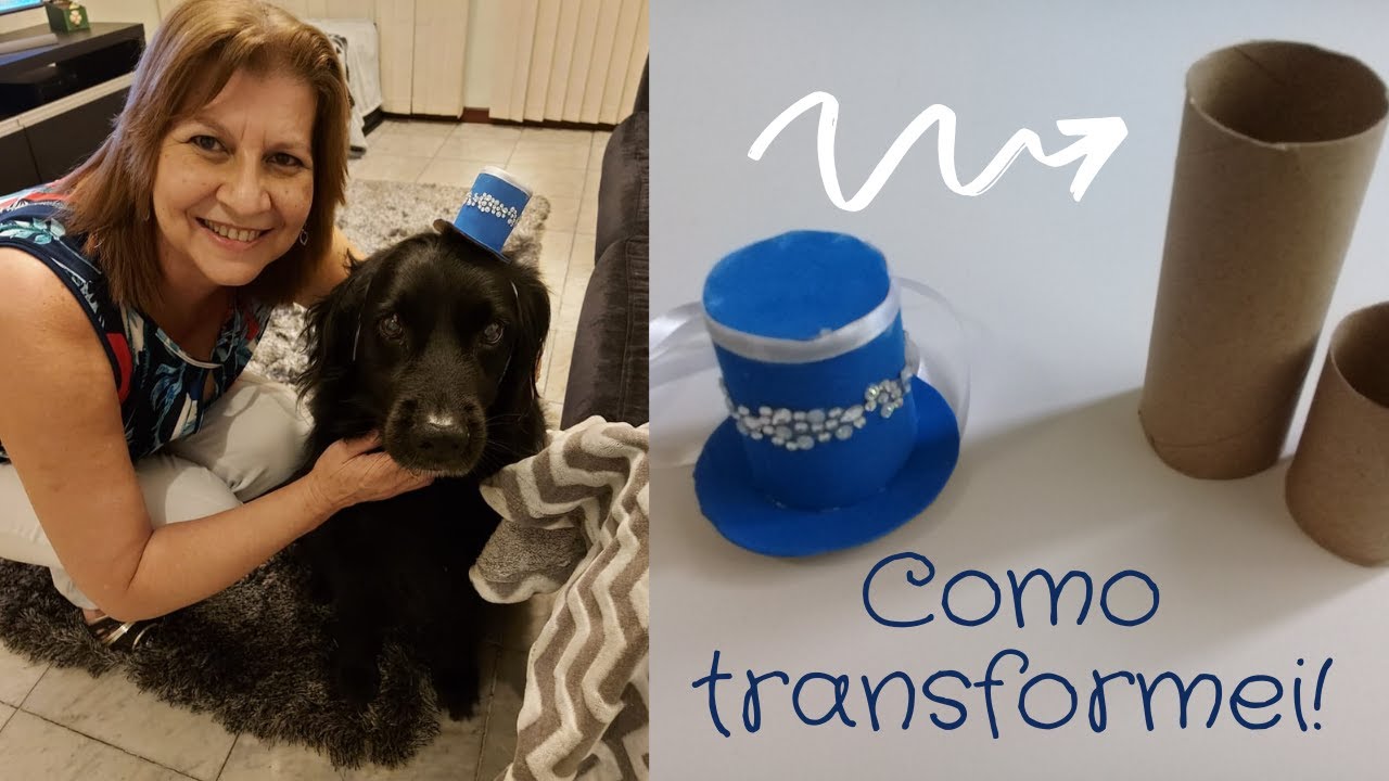 Como fazer cartola para pet com ROLINHO DE PAPEL HIGIÊNICO. Venda!!!