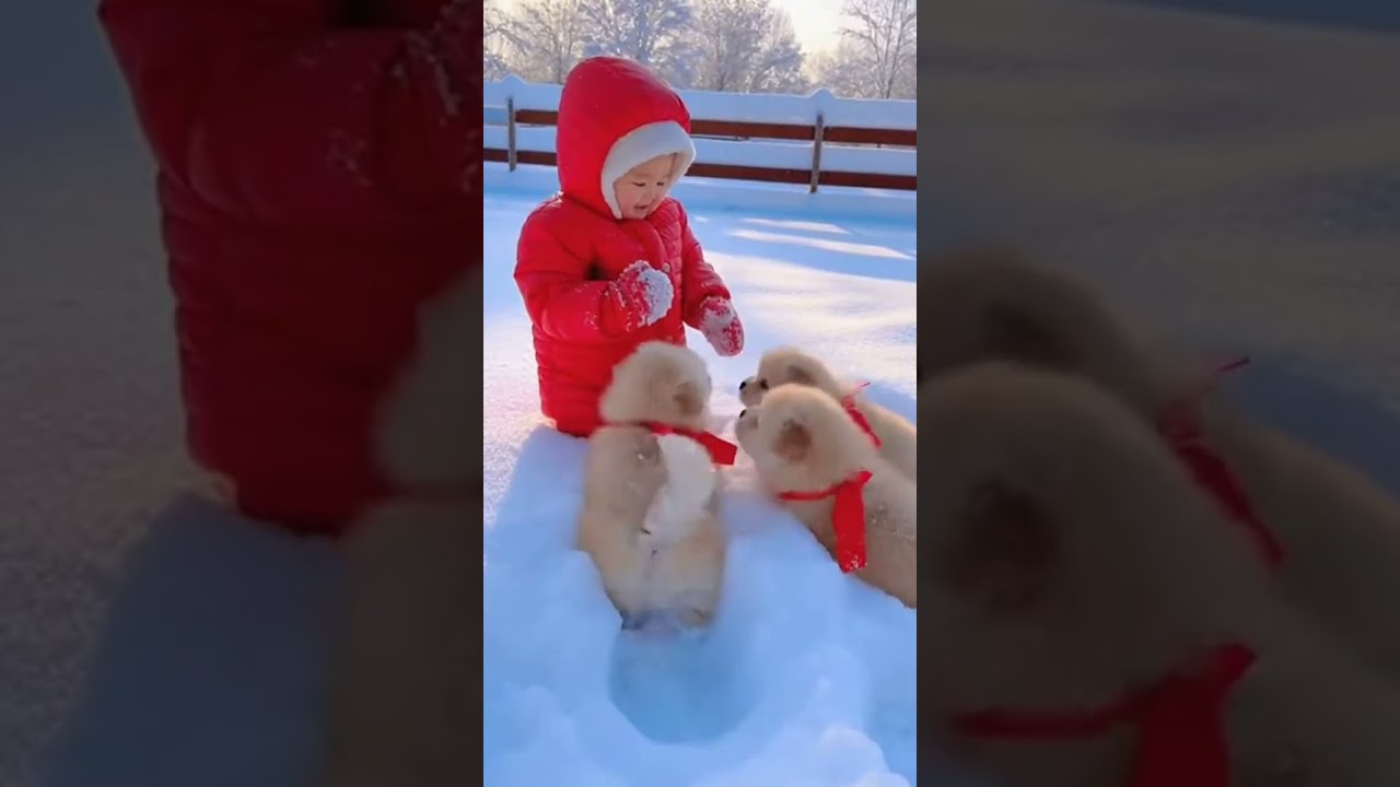 She went full monster mode… and the puppies unleashed chaos 