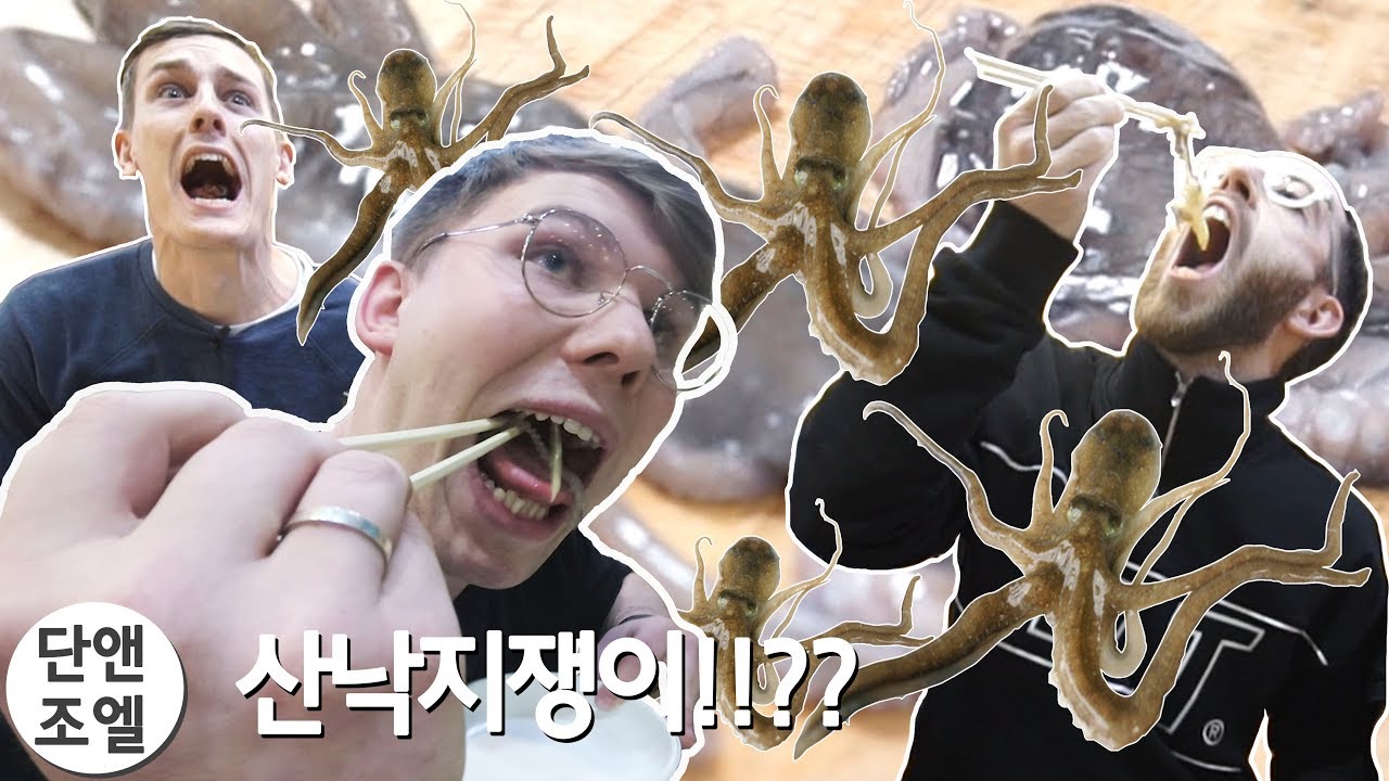 Adam loves Live Baby Octopus!? (+ octopus brain and fish intestine stew!?)