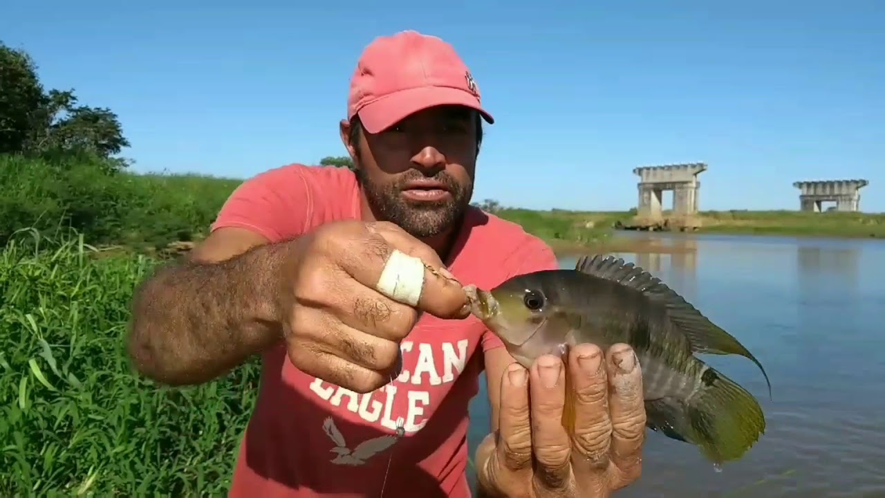 Muito peixe Acará neste rio (PARAÍBA DO SUL)