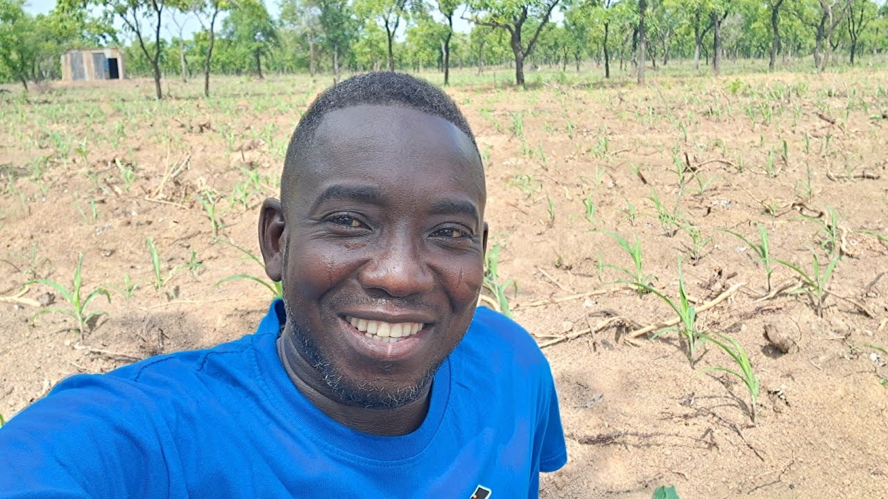 My million dollar farm project in | Northern Ghana
