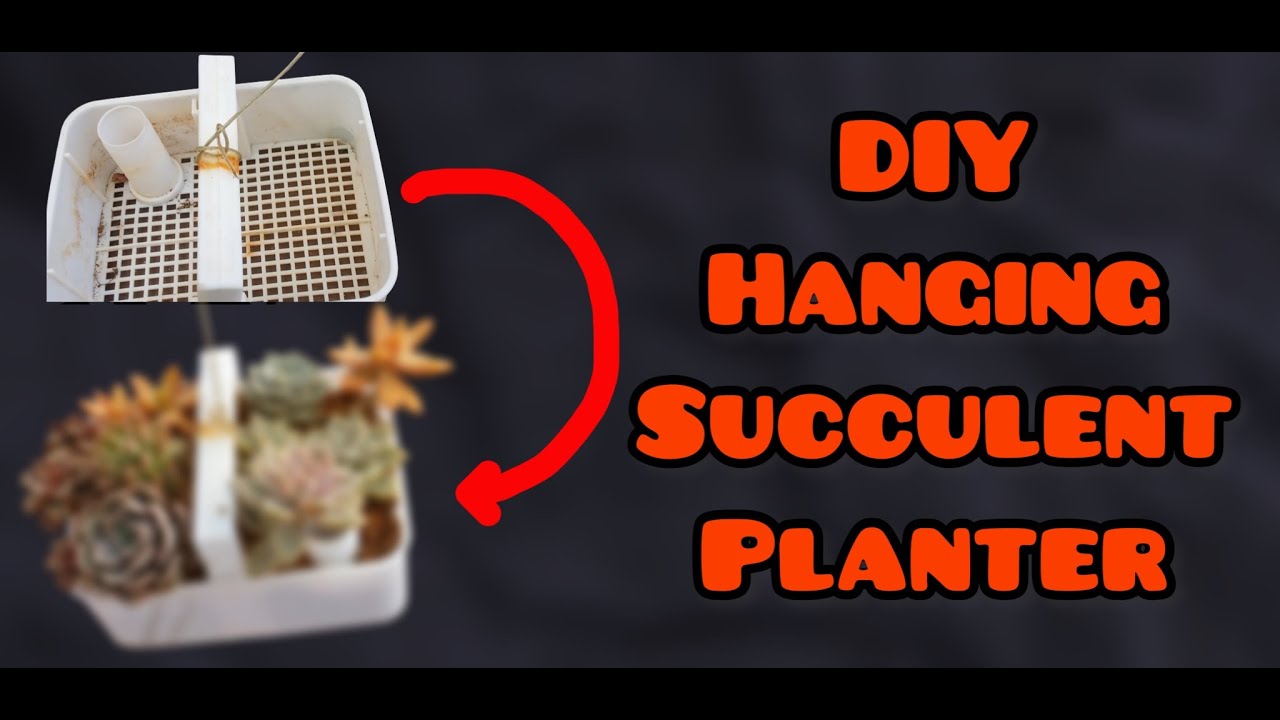|| DIY HANGING SUCCULENT ARRANGEMENT ||