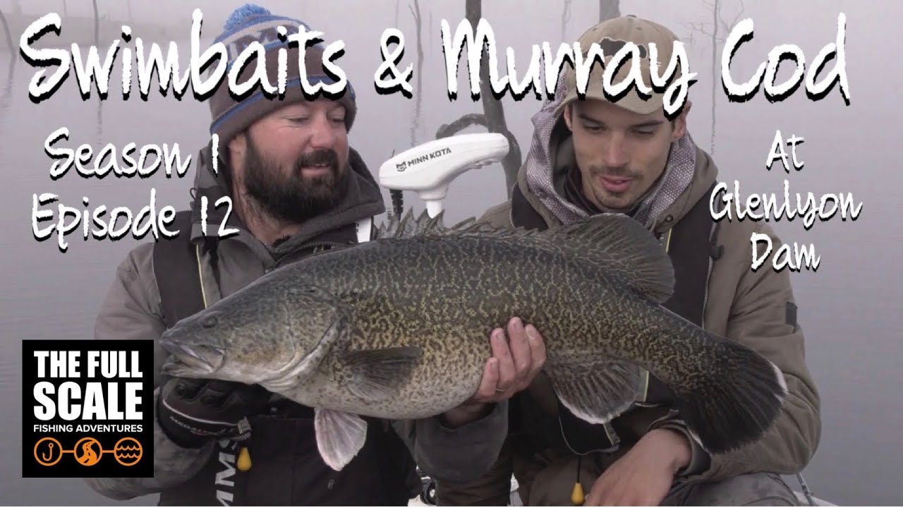 Swimbaits & Murray Cod | Glenlyon Dam | The Full Scale