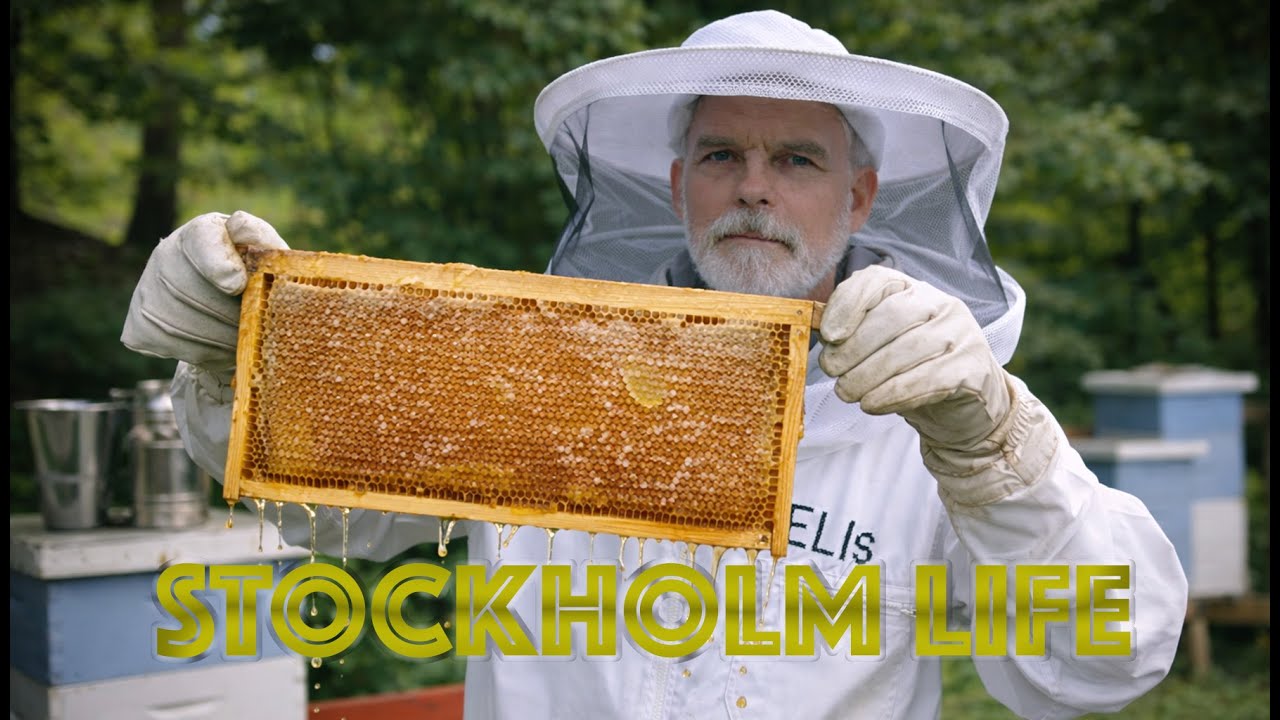 🐝 Stockholms Biodlarf&ouml;rening &ndash; Honung, bin & biodling i hj&auml;rtat av Stockholm 🍯