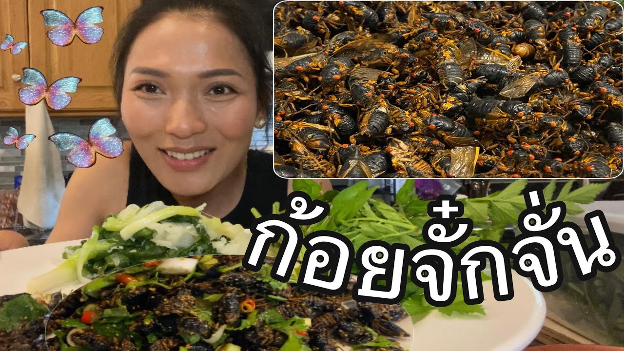 Соберите цикад, они так вкусно пахнут! Острый салат с цикадами 😝😝 в тайском стиле