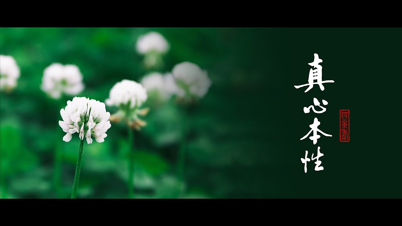 淨語錄 | 因地不真，果招迂曲