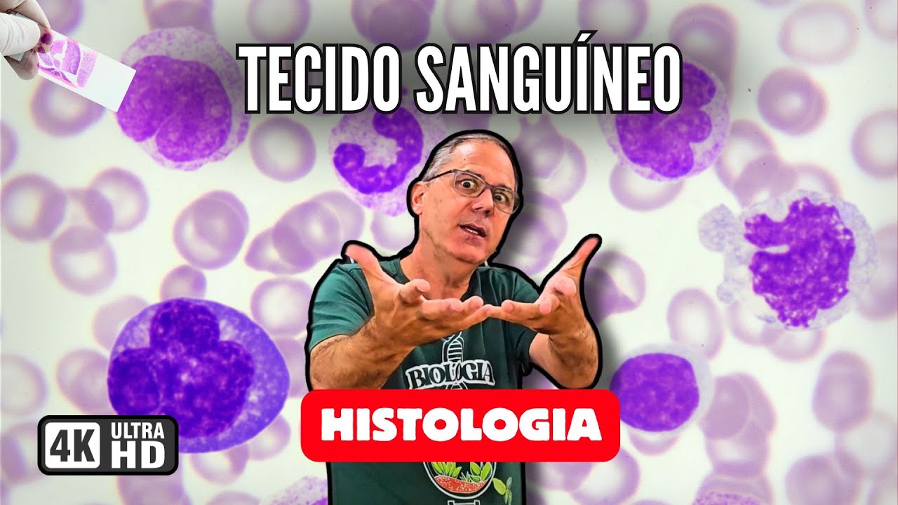 Tecido Sanguíneo: Funções, Células e Componentes do Sangue – Aula Completa com Professor Hilton