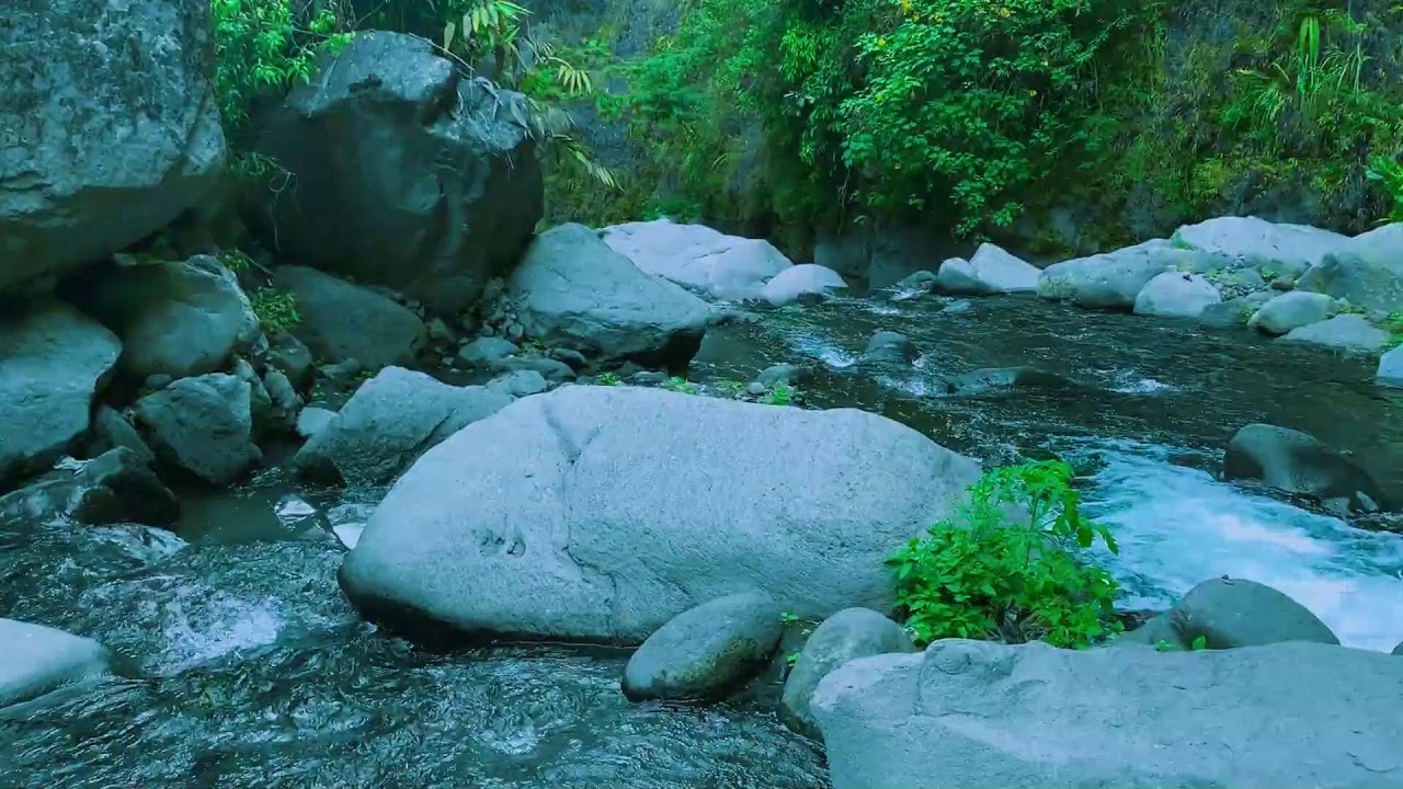 Refreshing Wilderness Water to help Reading, Soothing the Soul & Sound Sleep