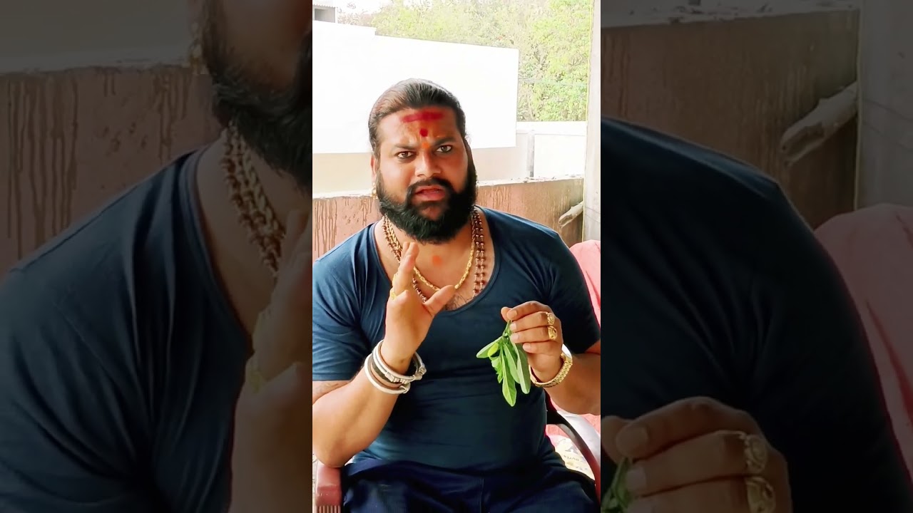 సీతాఫలం యొక్క పూత తోటి ఎంతటి కచ్చ తాగుబోతోడైనా మారిపోవాల్సిందే 7993790490